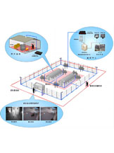 監(jiān)所周界安防解決方案